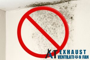 prevent-molds-the-health-benefits-of-a-bathroom-ventilation-fan-a1-exhaust-ventilation-fan-singapore