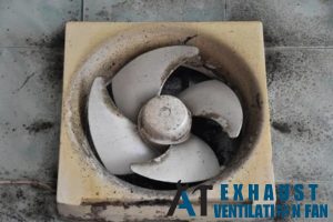 inspect-for-mold-9-maintenance-tips-for-your-exhaust-fan-a1-exhaust-ventilation-fan-singapore