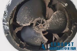 pest-infestations-8-common-problems-a-toilet-ventilation-fan-can-solve-in-singapore-homes-toilet-ventilation-fan-a1-exhaust-ventilation-fan-singapore