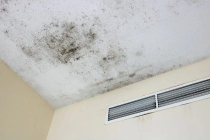 mould-on-ceiling-mould-removal-a1-exhaust-ventilation-fan-singapore
