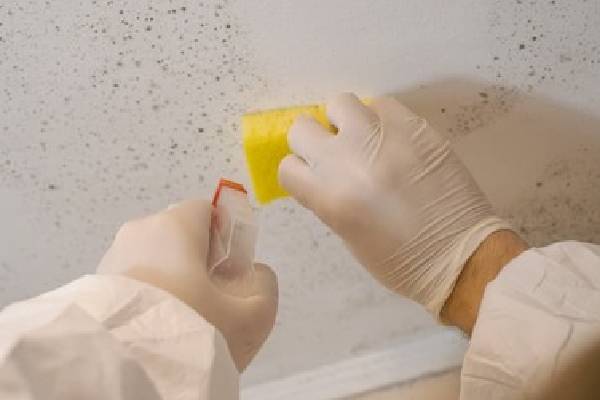 mould-removal-a1-exhaust-ventilation-fan-singapore-2