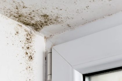 thorough-inspection-mould-removal-a1-exhaust-ventilation-fan-singapore