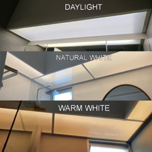 select-light-color-options